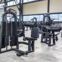 A2030 Бицепс-машина сидя. Стек 100 кг