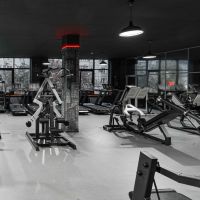 D950 Жим ногами, рычаги серые