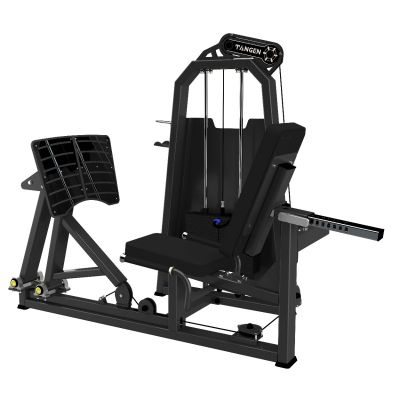 A2003 Жим ногами. Стек 100 кг