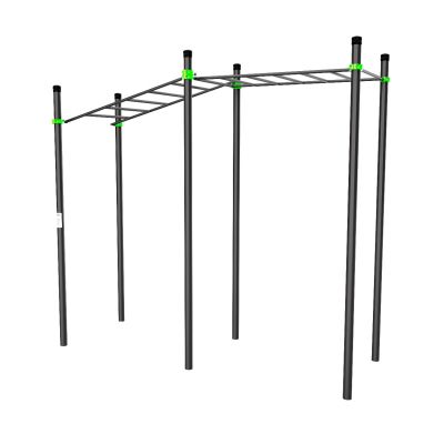 W214 Воркаут (рукоход в подъем, рукоход классический) ZAVODSPORTA