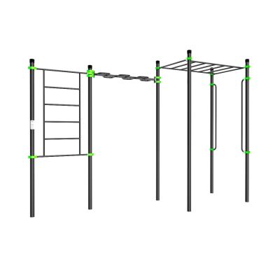 W223 Воркаут (шведская стенка, рукоход-змеевик и классический, перекладины вертикальные) ZAVODSPORTA