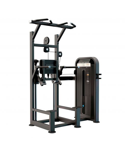 U3009D Турник, брусья с противовесом. Стек 99 кг